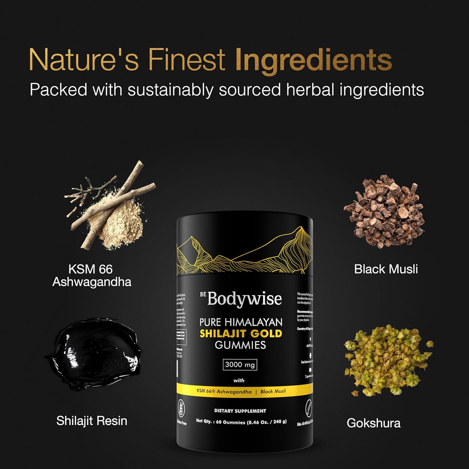 Bodywise Shilajit Gummies with Himalayan Shilajit extract for natural energy, vitality, and overall wellness